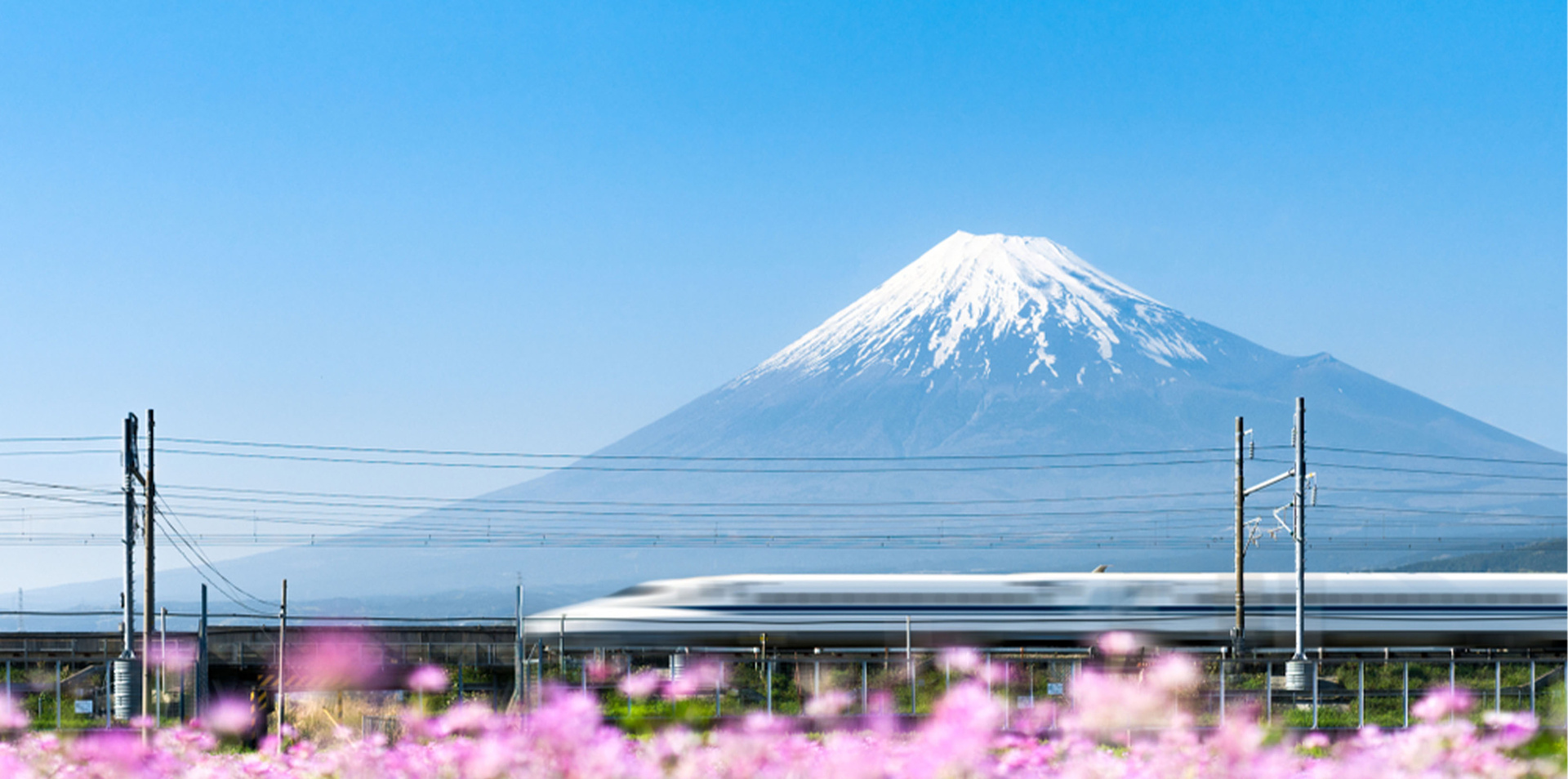 Reflections of Japan